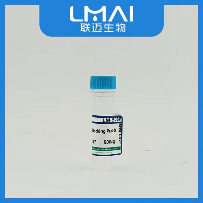 HS6ST3蛋白封闭多肽LM89352DT - 联迈生物官方商城-联迈生物-试剂盒 