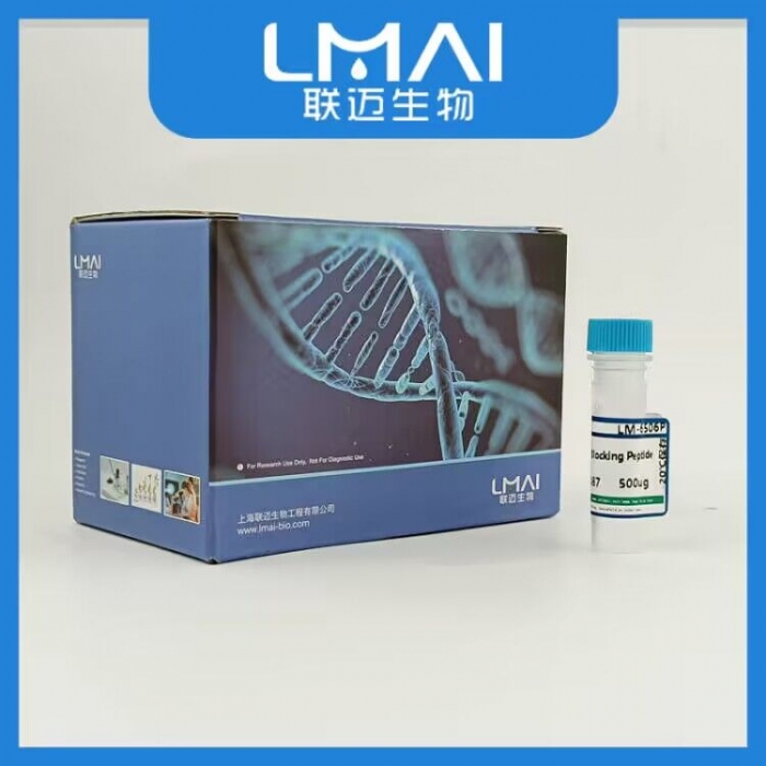 L型钙通道蛋白a1亚型6封闭多肽LM811751DT - 联迈生物官方商城-联迈生物 